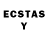Ecstasy TESLA X_dayl