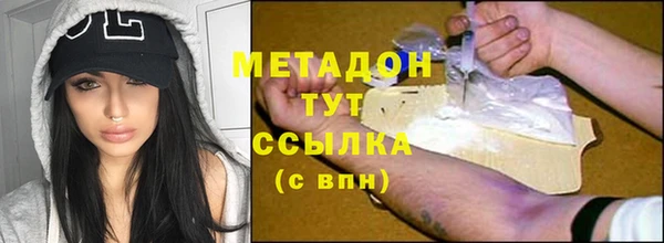 прущие грибы Алексеевка