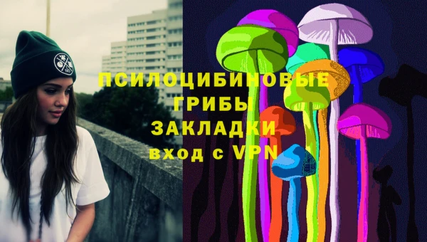 МДПВ Алексин