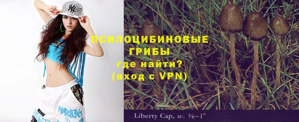 прущие грибы Алексеевка