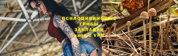 МДПВ Алексин