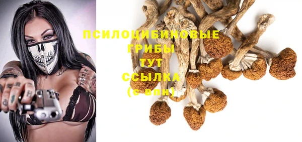 МДПВ Алексин