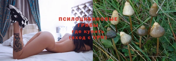 МДПВ Алексин