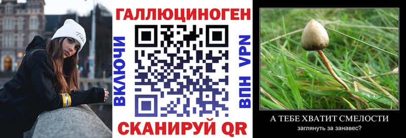 дарк нет Telegram  Ипатово  Галлюциногенные грибы прущие грибы 