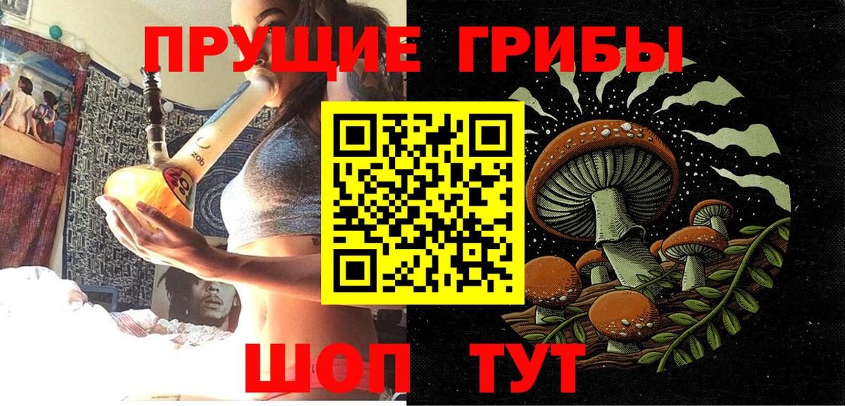 Псилоцибиновые грибы прущие грибы  Псилоцибиновые грибы MAGIC MUSHROOMS  Ипатово  Вход с VPN 