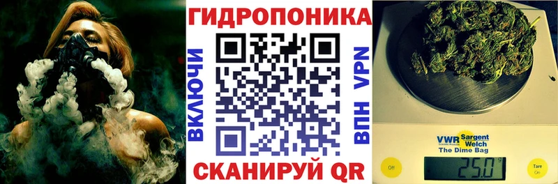 цена   Ипатово  Шишки марихуана план 